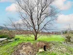 Photo 27- click for photo gallery